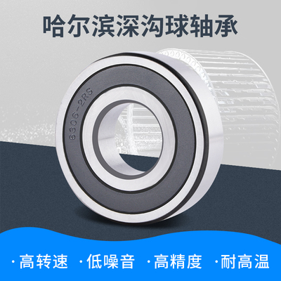 轴承62300 62301 62302 62303 62304 62305 62306 62307 62308 RS