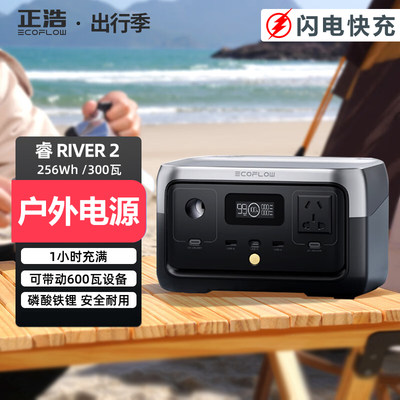 正浩自驾游露营户外移动电源220v