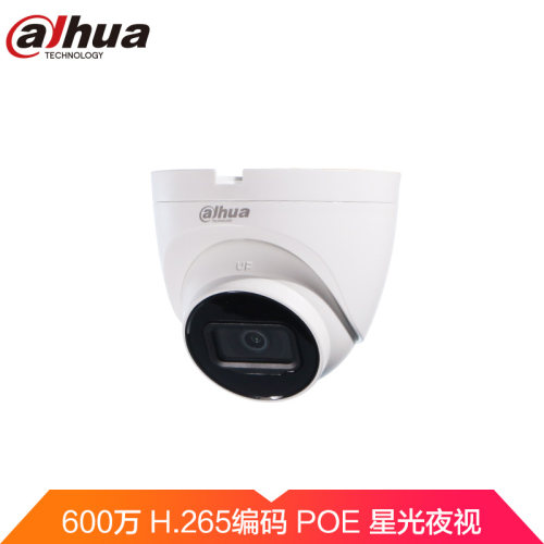 大华带音频网络监控摄像头