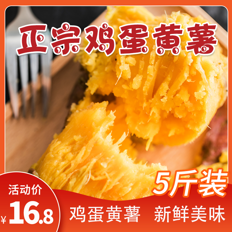 广东农家沙地自种新鲜现挖鸡蛋黄