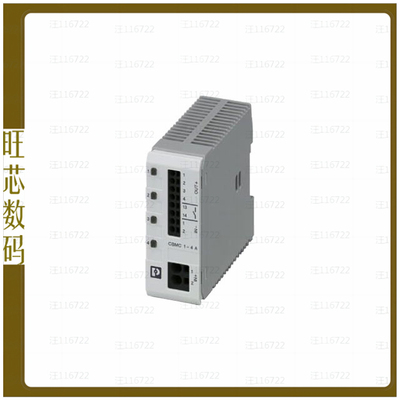 2906031【MULTI-CHANNEL ELECTRONIC DEVICE】