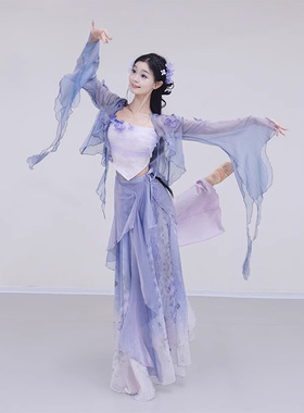 古典舞蹈服套装仙气飘逸身韵纱衣中国舞现代舞练功演出服2025新款