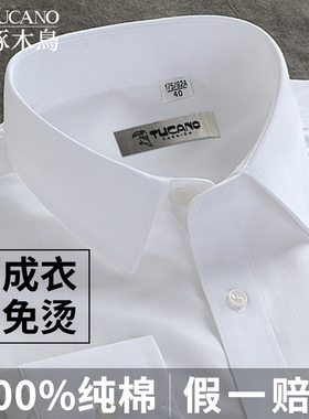 啄木鸟纯棉DP免烫白色长袖衬衫男士秋季新款商务休闲职业正装衬衣