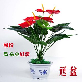 包邮仿真绿植红掌盆景盆栽特价摆设客厅装饰落地假花植物花坛布置