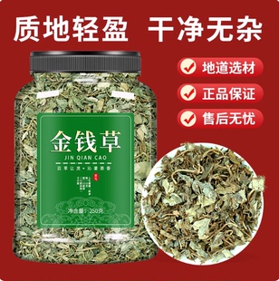 野生金钱草滋补中药材旗舰店大叶正宗广西金钱草中草药养生泡水