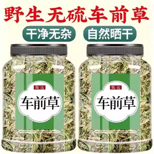 车前草野生干货500g中药材车前子车轮草功效官方旗舰店整棵车前草