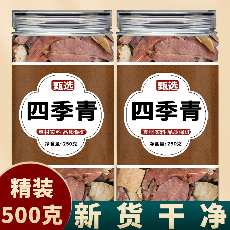 四季青中药饮片500g中药材正品官方旗舰店野生新鲜泡水泡茶冬青叶
