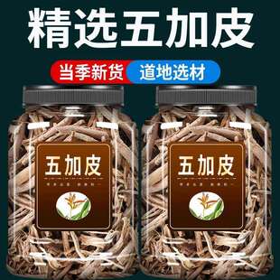 五加皮中药材香料500g南五加皮泡酒药材非粉野生特级五加皮五味子