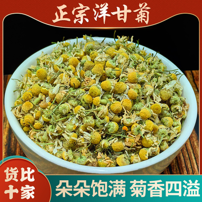 洋甘菊花茶洋甘菊干花中药材饮片洋甘菊茶安神助眠美容泡水饮