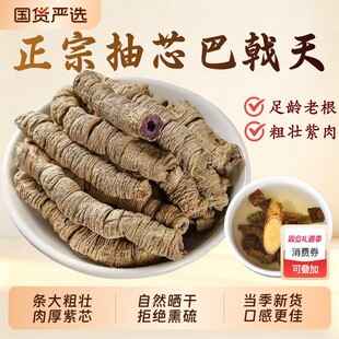 正宗德庆巴戟天药材野生杜仲牛大力薯肉苁蓉锁阳泡酒水男士煲汤料