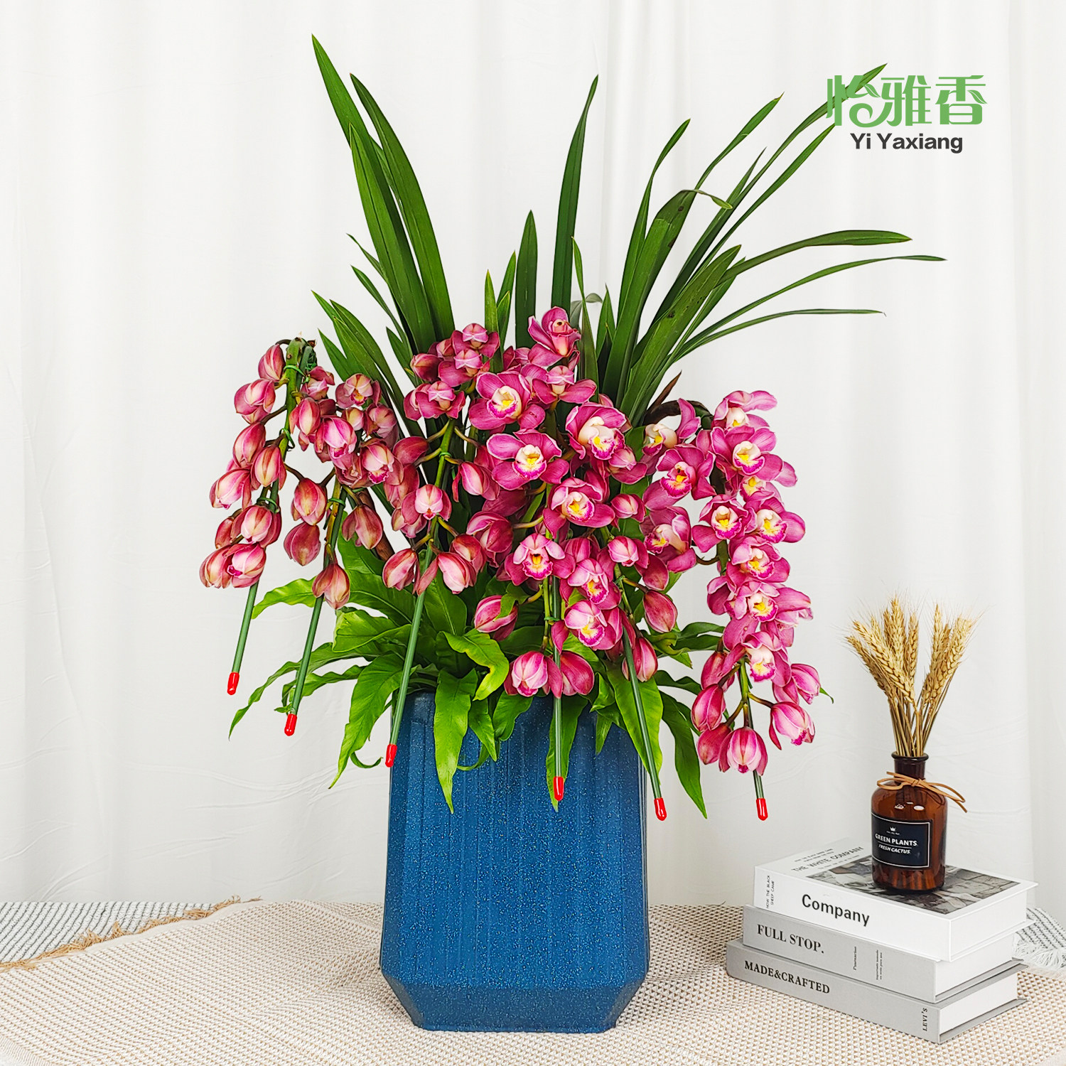 怡雅香大花蕙兰盆栽带花苞春节花卉年宵花室内客厅拱兰蕙兰兰花