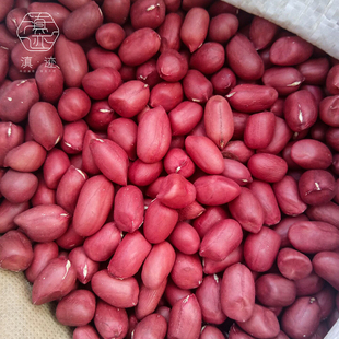 2024新大粒云南农家红皮花生米生新货散装红花生仁不带壳红衣花生