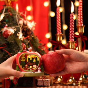 微观臻慕 苹果小屋 新年好礼摆件娃屋装饰道具掌中微缩男女生礼物