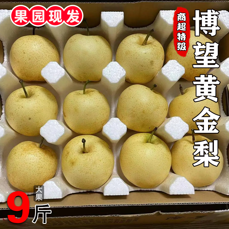 河南博望黄金梨当季方城恩施雪梨新鲜水果南阳特产黄皮梨子10斤