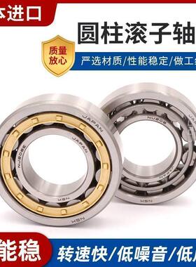 NSK 进口圆柱滚子轴承 N202 203 204 205 206 207 208 209 210EM