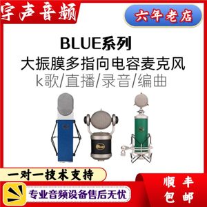 Blue Berry蓝莓 Kiwi奇异果 Mouse米老鼠大振膜电容麦克风话筒