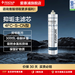 爱惠浦主滤芯净水机抑垢耗材矿物质直饮家用净水器配件4FC-S