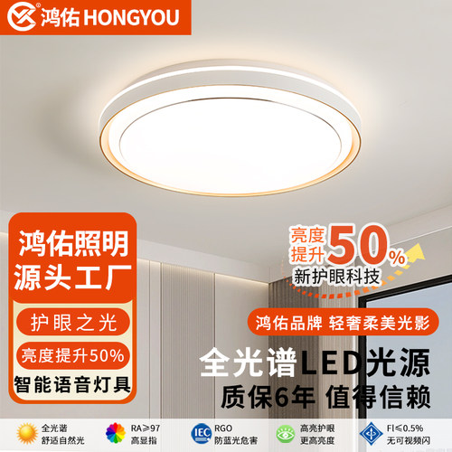 鸿佑现代简约卧室灯吸顶灯