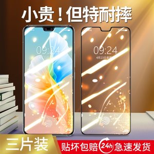 vivos10钢化膜pro防窥全屏无白边