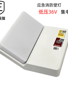 东君智能消防集中电源集控壁挂式应急照明灯DJ-03G低压36V