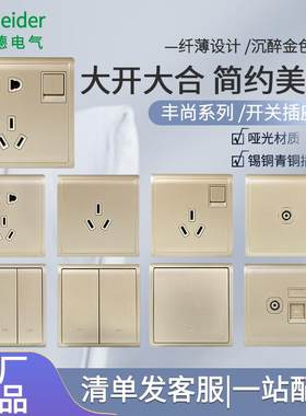 施耐德开关插座丰尚系调列金色一开多单控双控家用86型空五孔插座