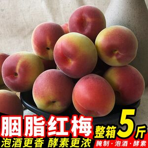 高山胭脂梅新鲜青梅泡酒诏安深山青梅鲜果酵素孕妇腌制酸水果梅子