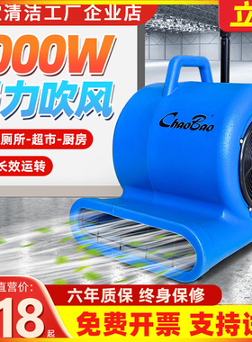 超宝吹干机CB-900B商用大功率强力鼓风吹风机地面板酒店地毯厕所