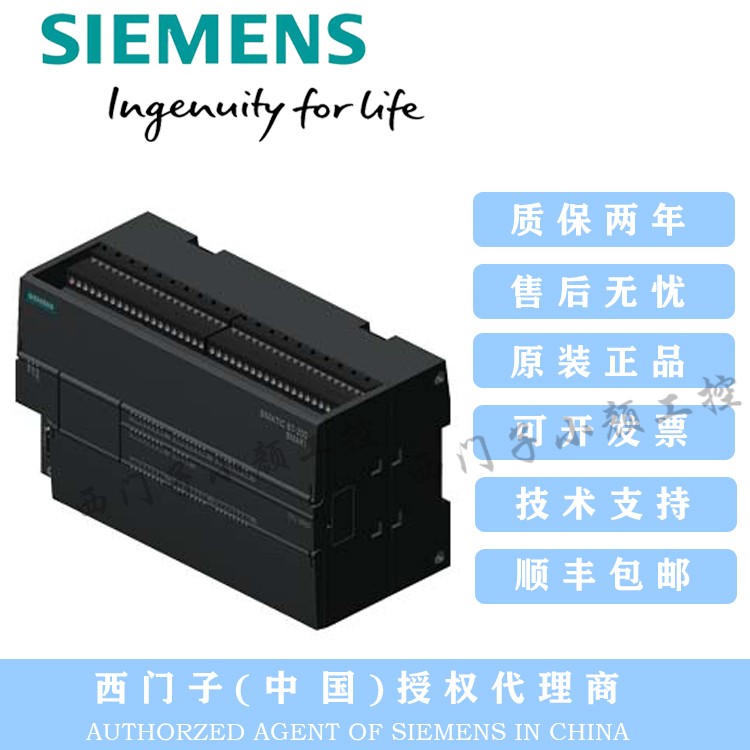 模块SIEMENS/西门子1SR60