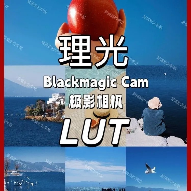 Blackmagic极影相机理光GR风格7套LUT预设滤镜专业街拍纪实人像图片