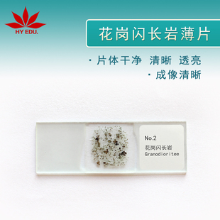 花岗闪长岩磨片显微镜观察教学研究地质学单片岩石薄片学生实验
