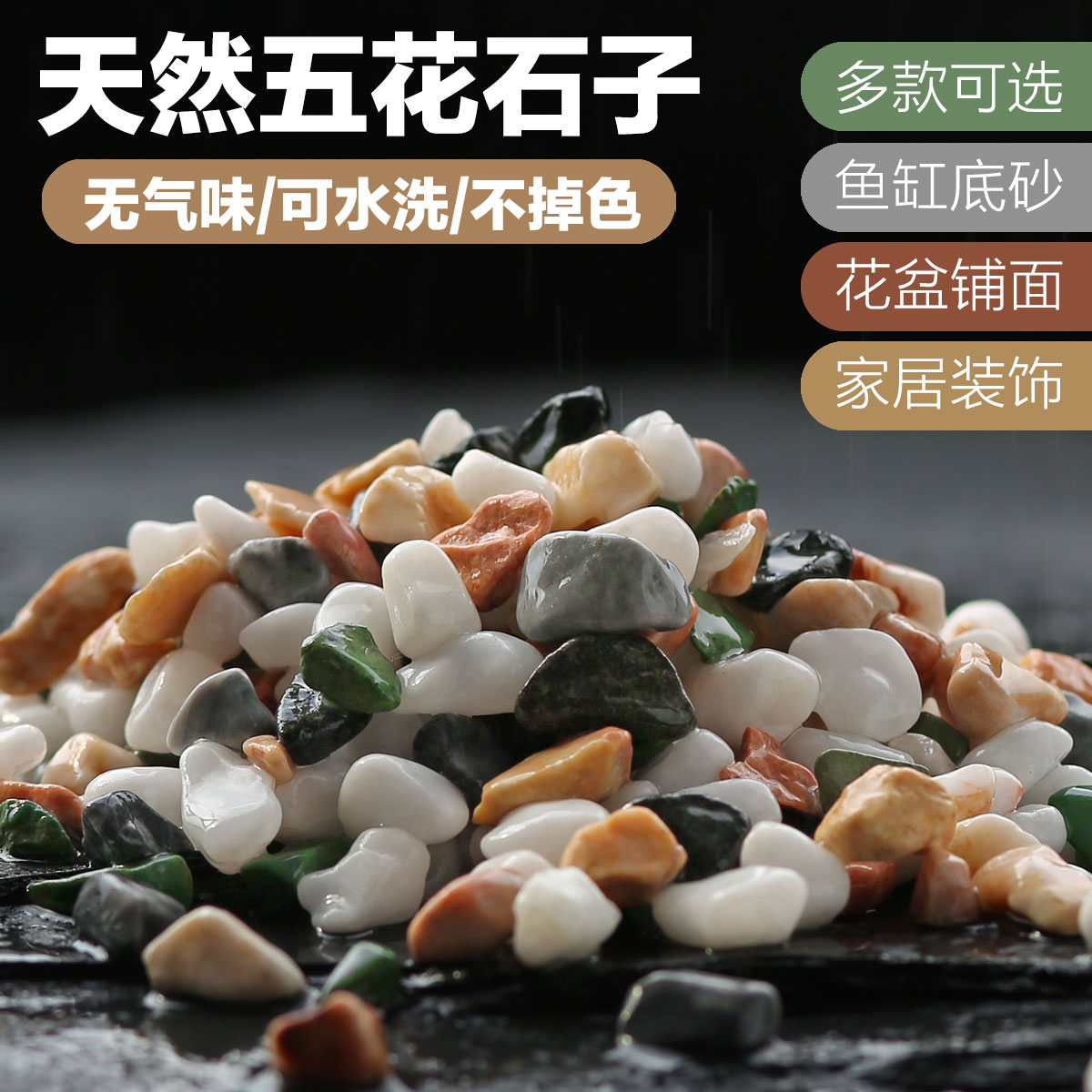 5斤天然小石头五花七彩石白色小石子鹅卵石鱼缸底沙多肉花盆铺面