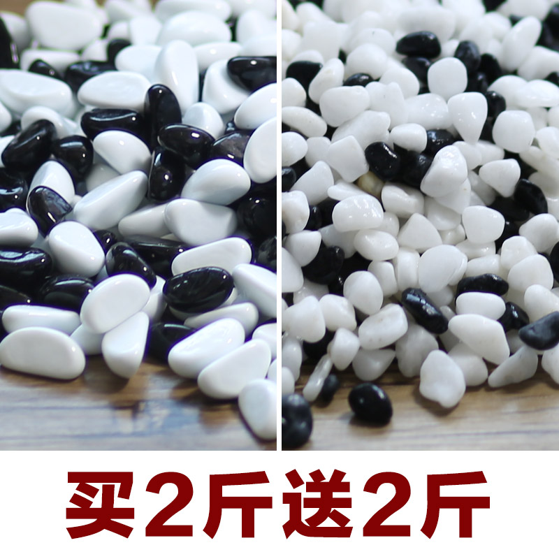 多肉铺面鱼缸造景小石头小石头