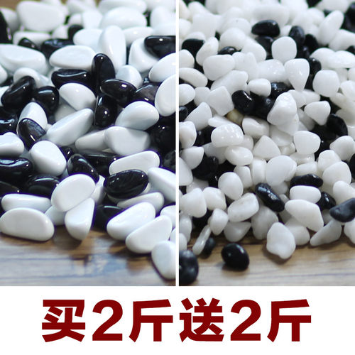 多肉铺面鱼缸造景小石头小石头