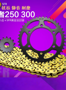 适用川崎小忍者EX250R NINJA400 Z300链条链盘套链轮牙盘提速改装