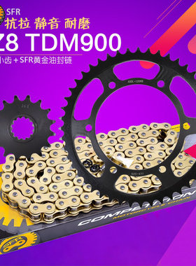 适用雅马哈FZ8 FZ8N/S TDM900 摩托车大小齿油封链条链轮全套链盘