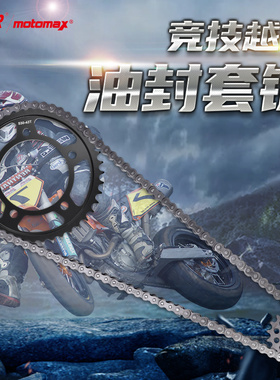 适用于本田CB900F CBR900RR CBF1000F大小齿牙盘链轮链盘油封链条