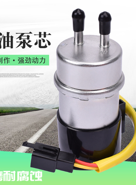 适用川崎ZX1000B ZG1200 Voyager XII 87-04 VN1500电喷汽油泵芯