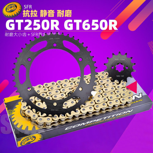 GT250650R/S大小齿前后牙盘链条