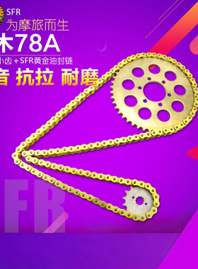 适用铃木盗匪英祖玛GSX400配件78A摩托车牙盘大小齿轮链条套链盘