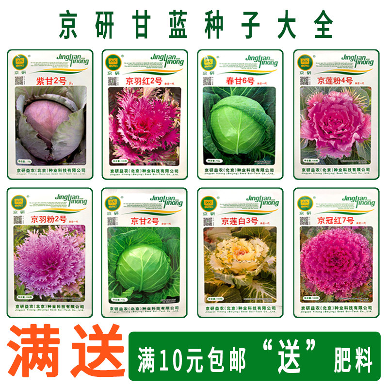 农科院京研蔬菜种子阳台种菜易活包菜种籽羽衣甘蓝包菜圆白菜种籽_虎窝淘