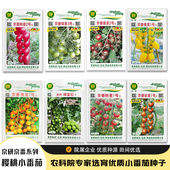 农科院小番茄种子樱桃西红柿千禧釜山青甜圣女果阳台盆栽蔬菜籽孑