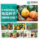 农科院南瓜种子嫩南瓜贝贝南瓜蜜本南瓜观赏玩具南瓜易种蔬菜籽孑