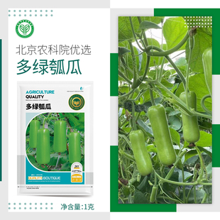农科院瓠瓜种子短瓠子蒲瓜葫芦瓜蔬菜种子籽阳台菜园易种肉厚香甜
