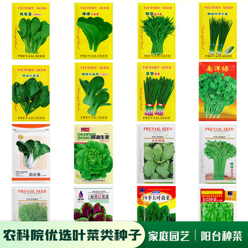 家庭园艺阳台易种植四季蔬菜种子