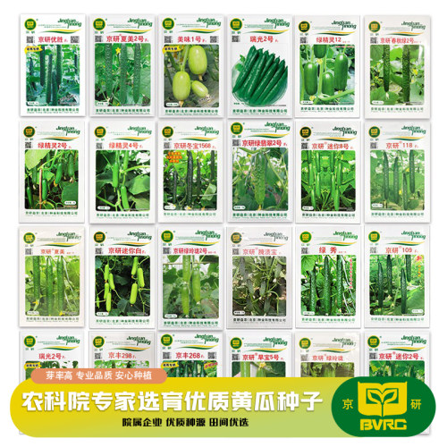 北京农科院黄瓜种子产量高易种植