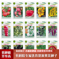 京研四季蔬菜种子易种高芽率果菜