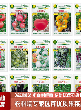 京研果菜种子水果番茄西红柿小柿子辣椒朝天椒长茄易种蔬菜种籽孑