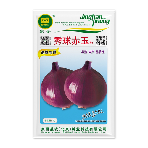 农科院京研紫皮特大耐寒洋葱种子