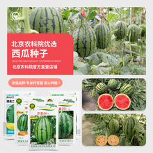 农科院西瓜种子京欣京美甜王8424麒麟瓜无籽懒汉冰糖小西瓜种籽孑