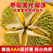 泰国精品A果金枕榴莲新鲜水果长柄巴掌现摘干尧非托曼包邮肉尼